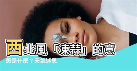 西北風意思|西北風的解釋